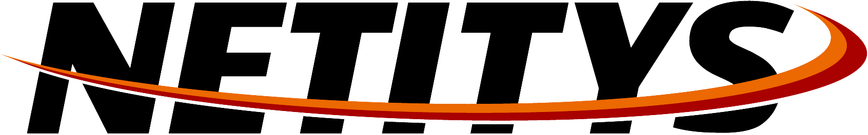 Netitys Oy
